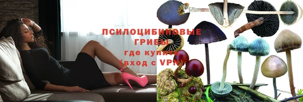 соль ск Беломорск