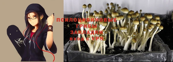 прущий лед Богородицк