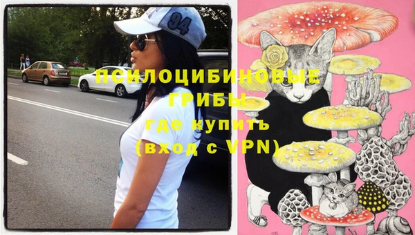 спиды Богданович