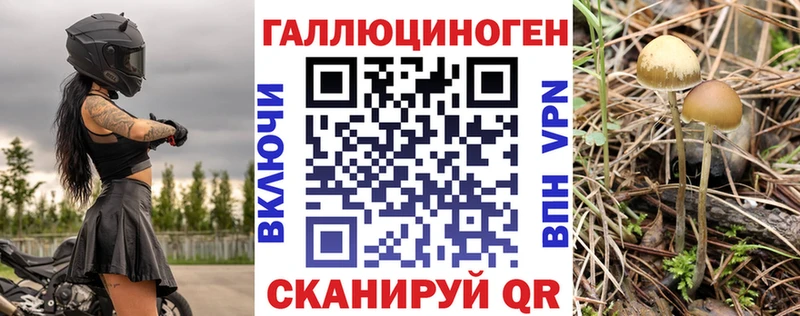 где найти Великий Устюг Псилоцибиновые грибы прущие грибы